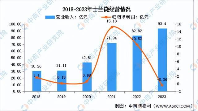 2024年中国半导体行业市场前景预测研究报告（简版）